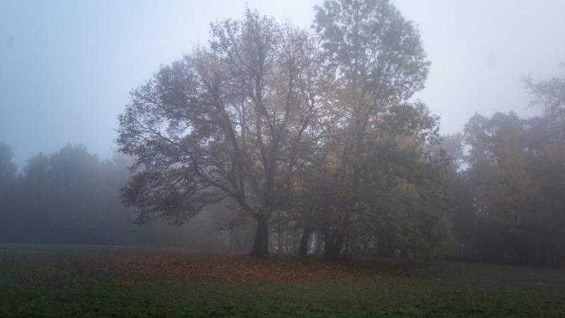 A december kezdetén ködös időjárásra számíthatunk, amelyet hűvösebb hőmérsékletek követnek. Az év utolsó hónapja tehát titokzatosan és szürke fátyollal érkezik, hogy fokozatosan átadja helyét a hideg napoknak.